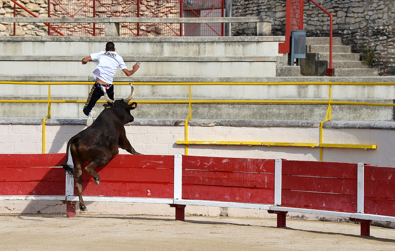 家队